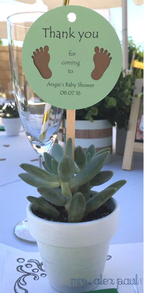 succulent centerpieces baby shower